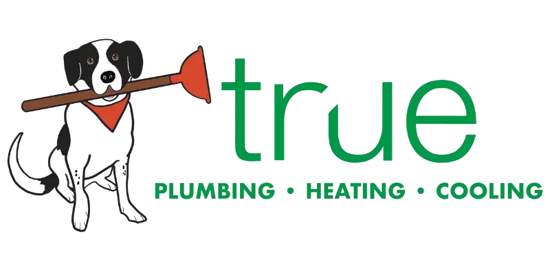 Cropped Trueplumbing Atlanta Plumbing Heating Cooling