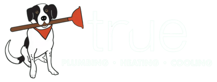True Plumbing, Heating & Cooling Atlanta