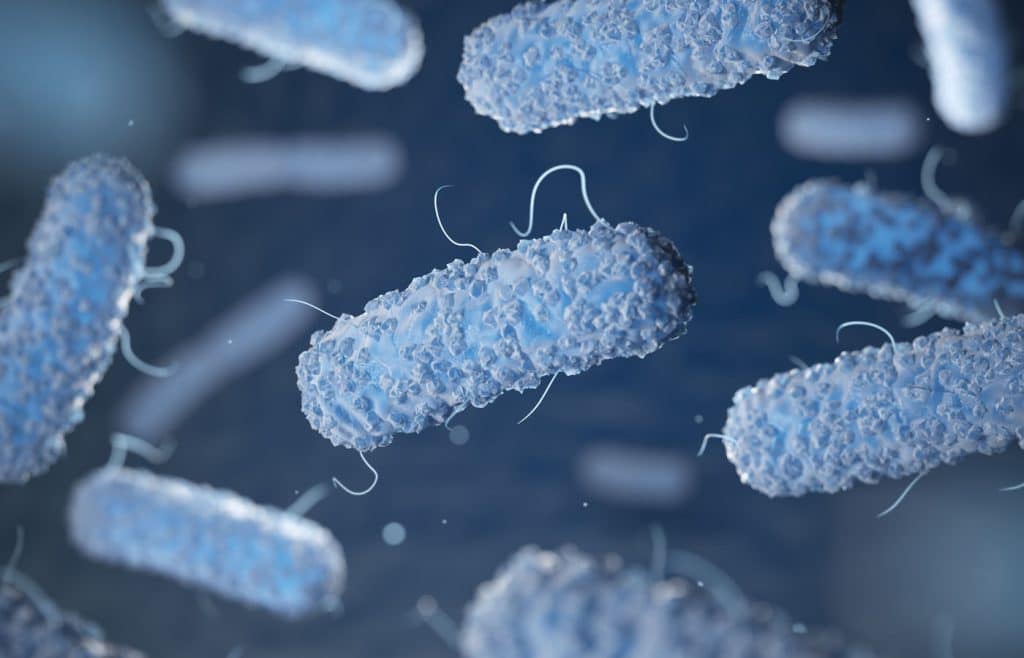 plumbing bacteria