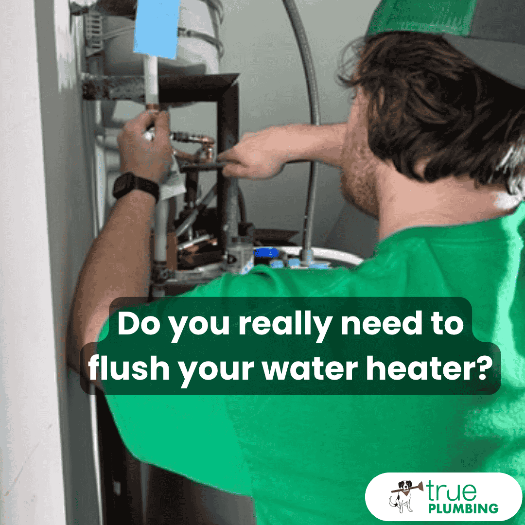True Plumbing Flush Water Heater Atlanta
