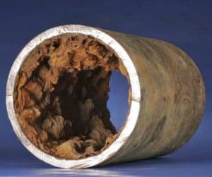 True Plumbing Leaks Water Transmission Main