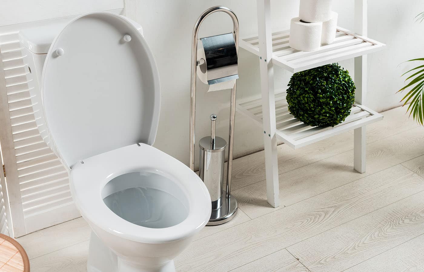 White Modern Bathroom With Toilet Bowl